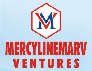 Shop security and safety equipments | Mercylinemarv Ventures